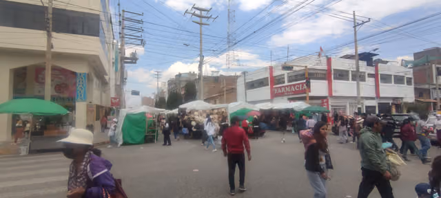 Sunday market of Huancayo (1)